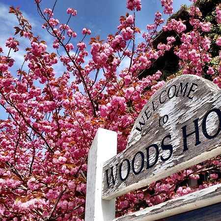 Treehouse Lodge Woods Hole Ngoại thất bức ảnh