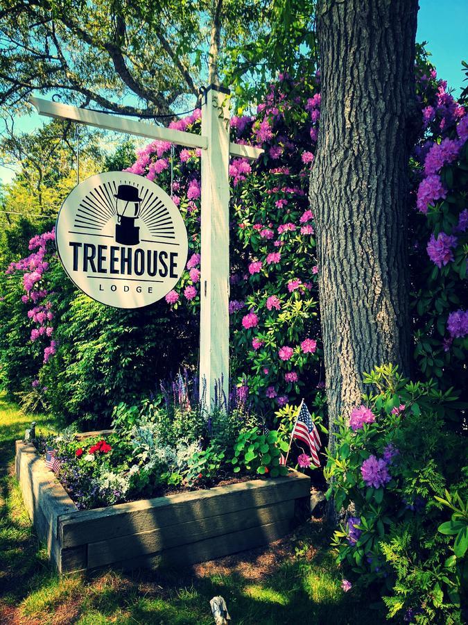 Treehouse Lodge Woods Hole Ngoại thất bức ảnh